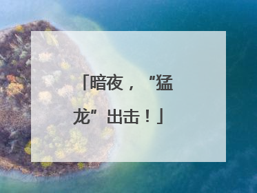 暗夜，“猛龙”出击！