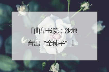 曲阜书院：沙地育出“金种子”