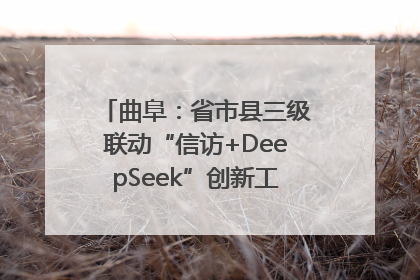 曲阜：省市县三级联动“信访+DeepSeek”创新工作新闻发布会举行