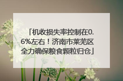 机收损失率控制在0.6%左右！济南市莱芜区全力确保粮食颗粒归仓