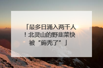 最多日涌入两千人！北灵山的野韭菜快被“薅秃了”