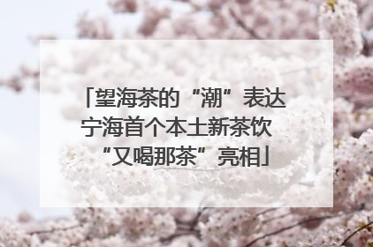 望海茶的“潮”表达 宁海首个本土新茶饮“又喝那茶”亮相