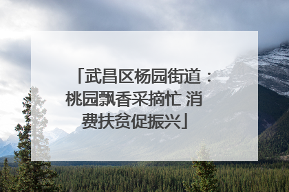 武昌区杨园街道：桃园飘香采摘忙 消费扶贫促振兴