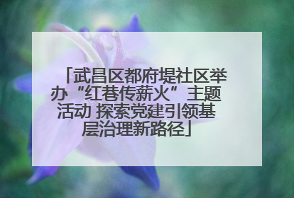 武昌区都府堤社区举办“红巷传薪火”主题活动 探索党建引领基层治理新路径