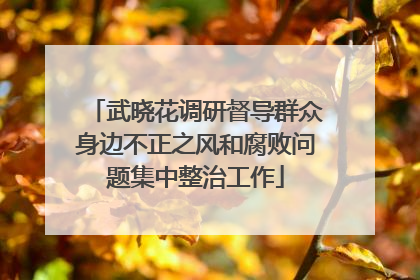 武晓花调研督导群众身边不正之风和腐败问题集中整治工作