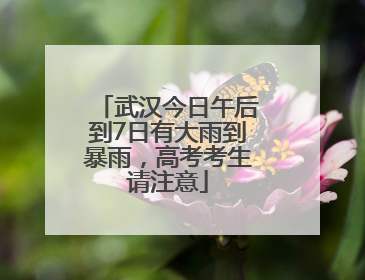 武汉今日午后到7日有大雨到暴雨，高考考生请注意