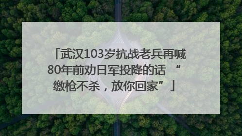 武汉103岁抗战老兵再喊80年前劝日军投降的话 “缴枪不杀，放你回家”