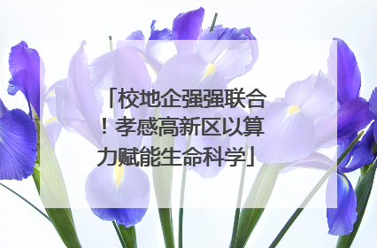 校地企强强联合！孝感高新区以算力赋能生命科学