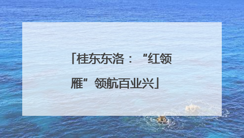 桂东东洛：“红领雁”领航百业兴
