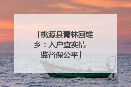 桃源县青林回维乡：入户查实情 监督保公平
