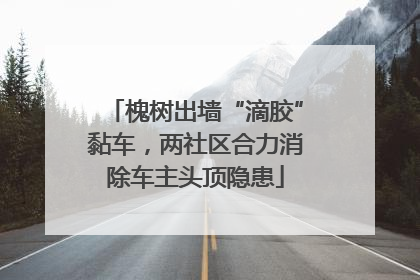槐树出墙“滴胶”黏车，两社区合力消除车主头顶隐患