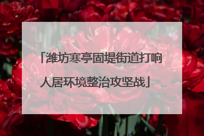 潍坊寒亭固堤街道打响人居环境整治攻坚战