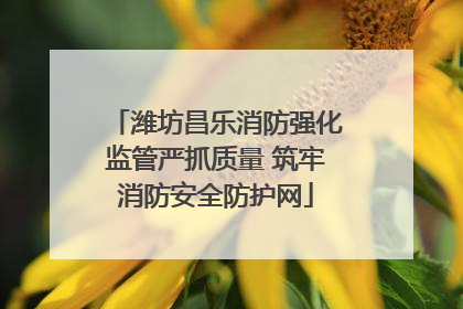 潍坊昌乐消防强化监管严抓质量 筑牢消防安全防护网