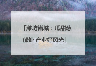 潍坊诸城：瓜甜葱郁处 产业好风光
