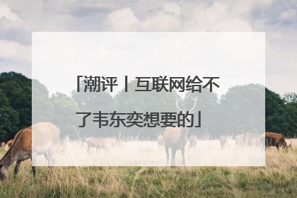 潮评丨互联网给不了韦东奕想要的