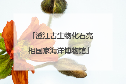 澄江古生物化石亮相国家海洋博物馆