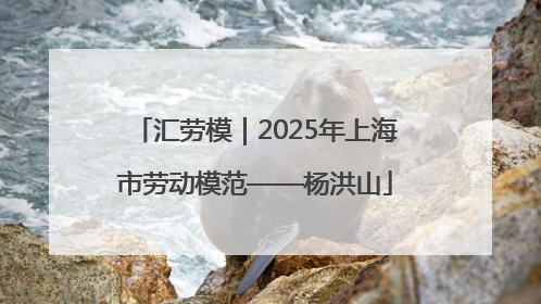 汇劳模｜2025年上海市劳动模范——杨洪山