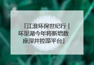 江淮环保世纪行｜环巢湖今年将新增数座深井控藻平台