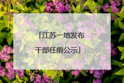 江苏一地发布干部任前公示