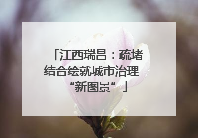 江西瑞昌：疏堵结合绘就城市治理“新图景”