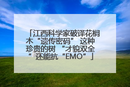 江西科学家破译花榈木“遗传密码” 这种珍贵的树 “才貌双全”还能抗“EMO”