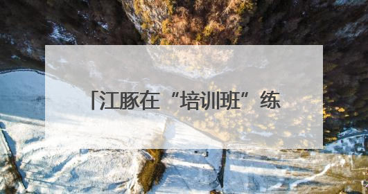 江豚在“培训班”练就江湖本领，外国代表想复制技术回国