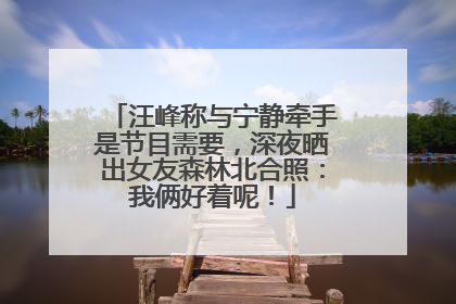 汪峰称与宁静牵手是节目需要，深夜晒出女友森林北合照：我俩好着呢！