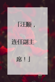 汪顺，连任副主席！