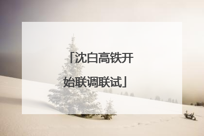 沈白高铁开始联调联试