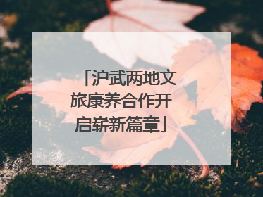 沪武两地文旅康养合作开启崭新篇章