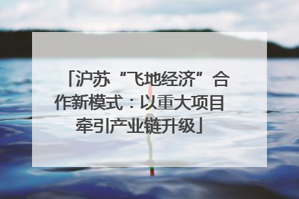 沪苏“飞地经济”合作新模式：以重大项目牵引产业链升级