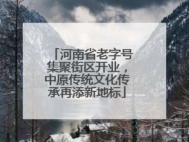 河南省老字号集聚街区开业，中原传统文化传承再添新地标