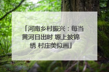 河南乡村振兴：每当黄河日出时 塬上披锦绣 村庄美似画