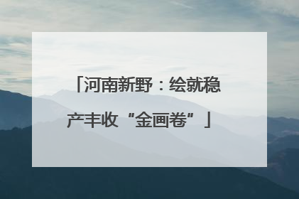 河南新野：绘就稳产丰收“金画卷”
