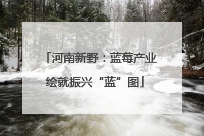 河南新野：蓝莓产业绘就振兴“蓝”图