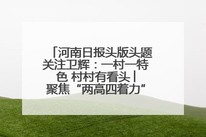 河南日报头版头题关注卫辉：一村一特色 村村有看头 ︳聚焦“两高四着力”·一“县”观察