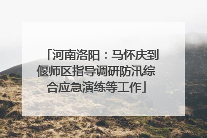 河南洛阳：马怀庆到偃师区指导调研防汛综合应急演练等工作