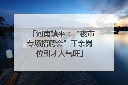 河南镇平：“夜市专场招聘会”千余岗位引才人气旺