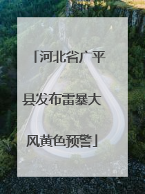 河北省广平县发布雷暴大风黄色预警