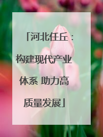 河北任丘：构建现代产业体系 助力高质量发展