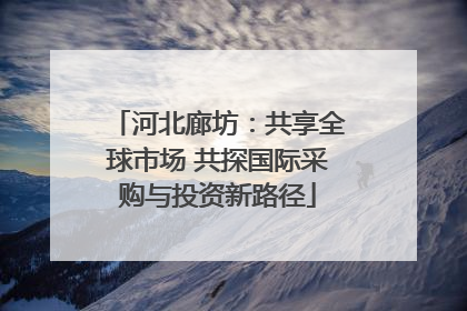 河北廊坊：共享全球市场 共探国际采购与投资新路径
