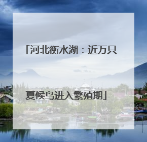河北衡水湖：近万只夏候鸟进入繁殖期