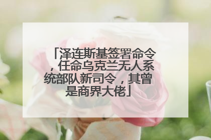 泽连斯基签署命令，任命乌克兰无人系统部队新司令，其曾是商界大佬