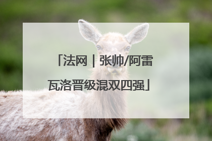 法网｜张帅/阿雷瓦洛晋级混双四强