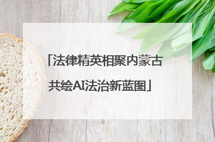 法律精英相聚内蒙古 共绘AI法治新蓝图
