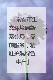 泰安市生态环境局新泰分局：靠前服务，精准护航绿色生产