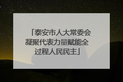 泰安市人大常委会凝聚代表力量赋能全过程人民民主