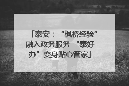 泰安：“枫桥经验”融入政务服务 “泰好办”变身贴心管家