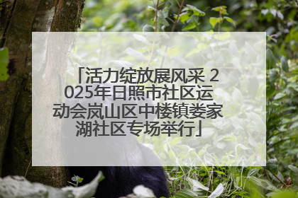 活力绽放展风采 2025年日照市社区运动会岚山区中楼镇娄家湖社区专场举行