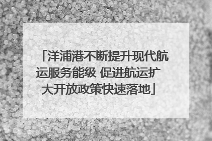 洋浦港不断提升现代航运服务能级 促进航运扩大开放政策快速落地
